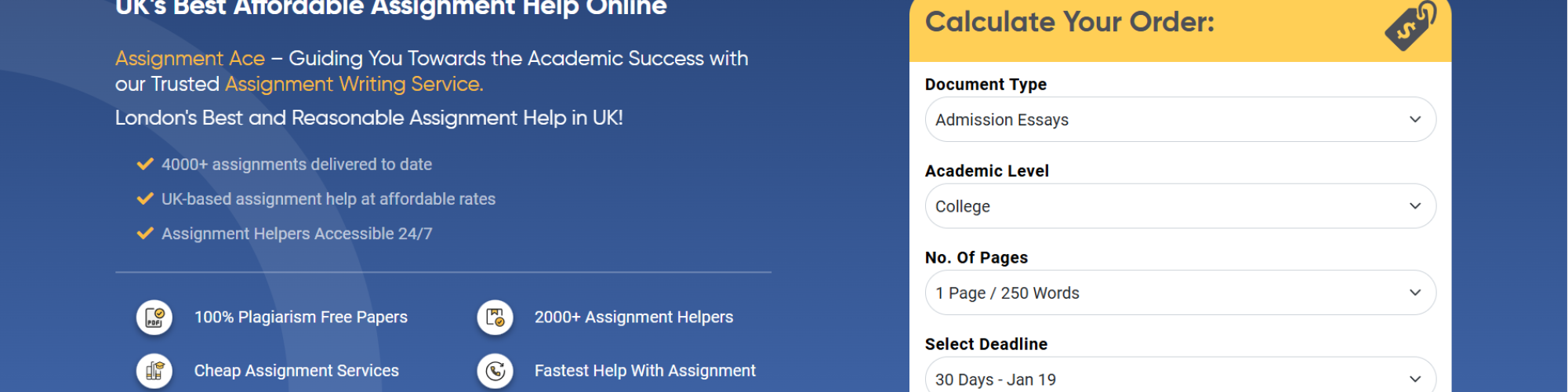 Assignment Ace – Expert Essay Services UK