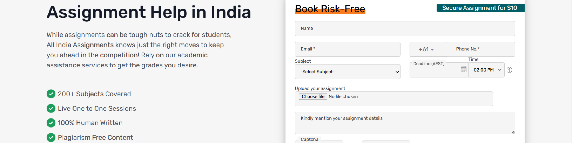 Online Assignment Expert
