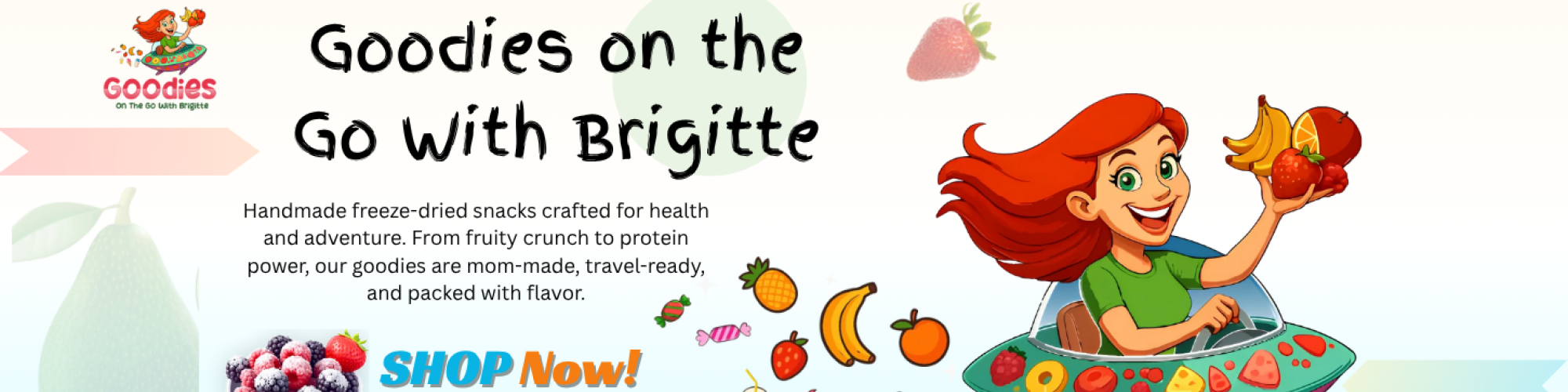 Goodies On The Go With Brigitte