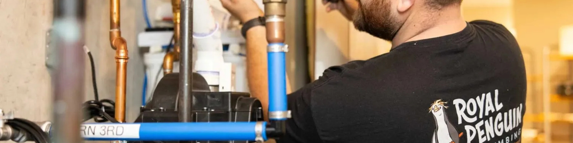 Royal Penguin Plumbing