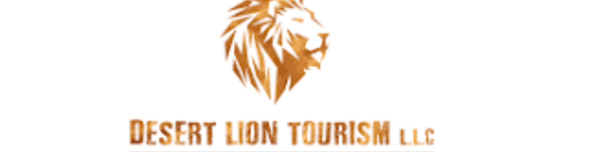 Desert Lion Tourism