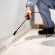 Pest Control Services