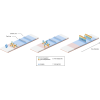 Colloidal Gold Lateral Flow Assays